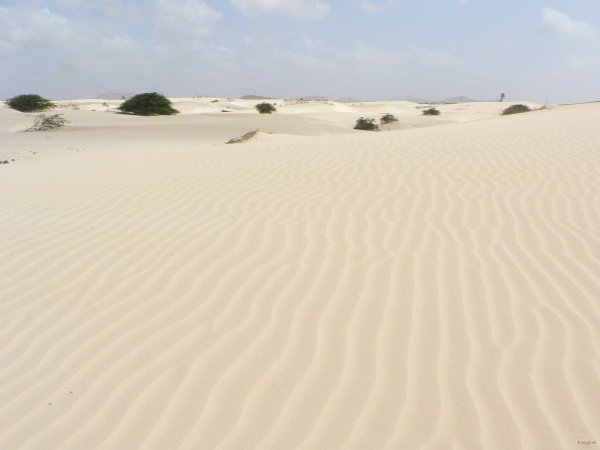 64- Desert pres de Bafureira 